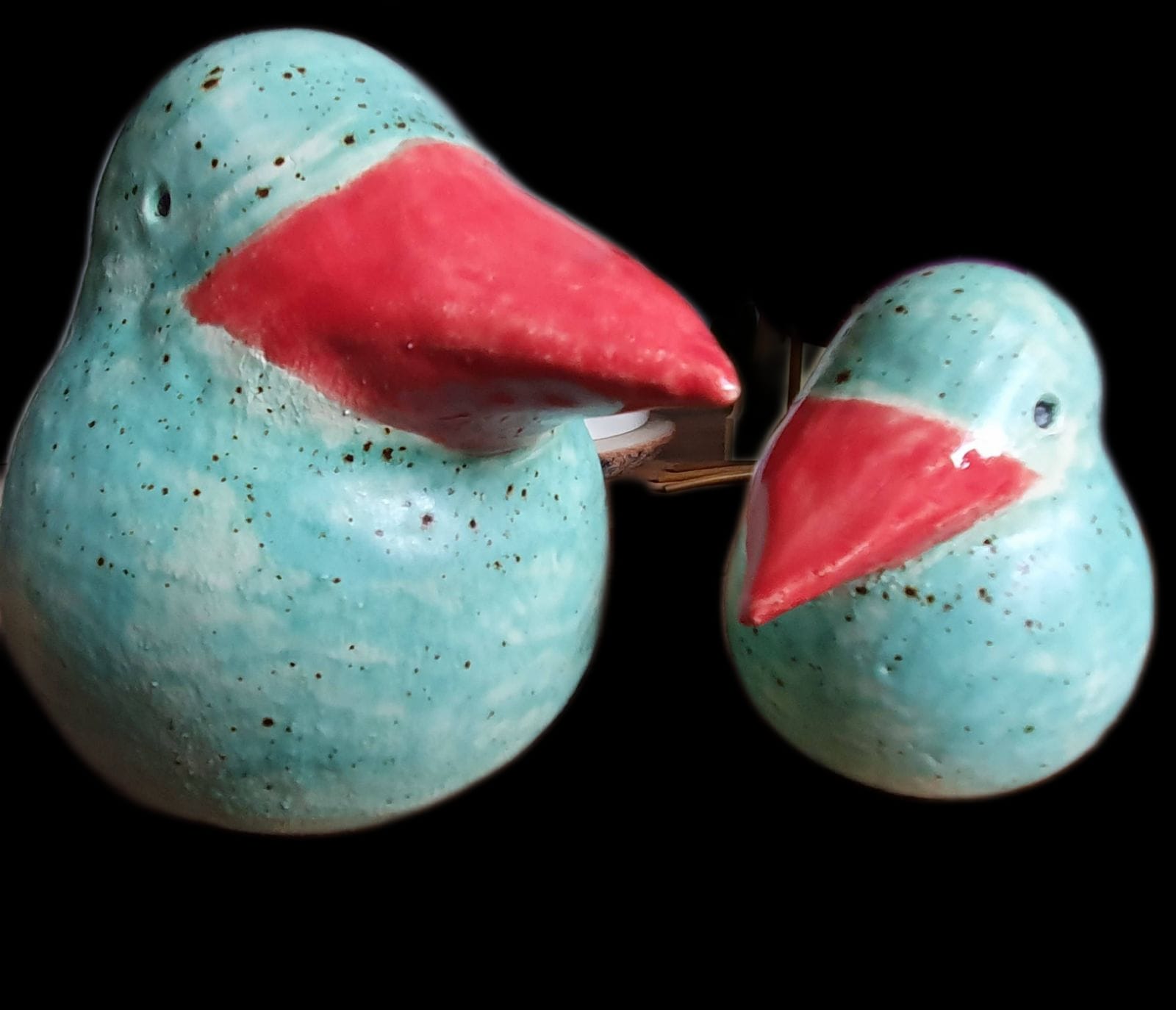 Vreemde Vogels